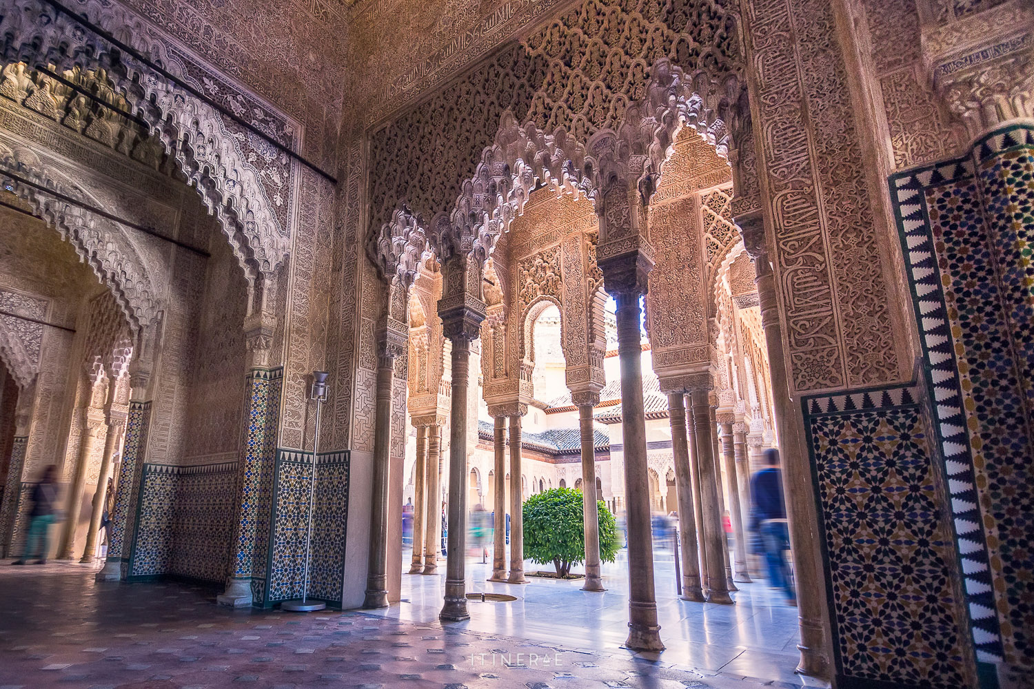 140127 - Alhambra (Granada) (13)