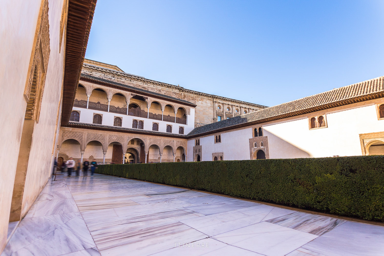 140127 - Alhambra (Granada) (5)