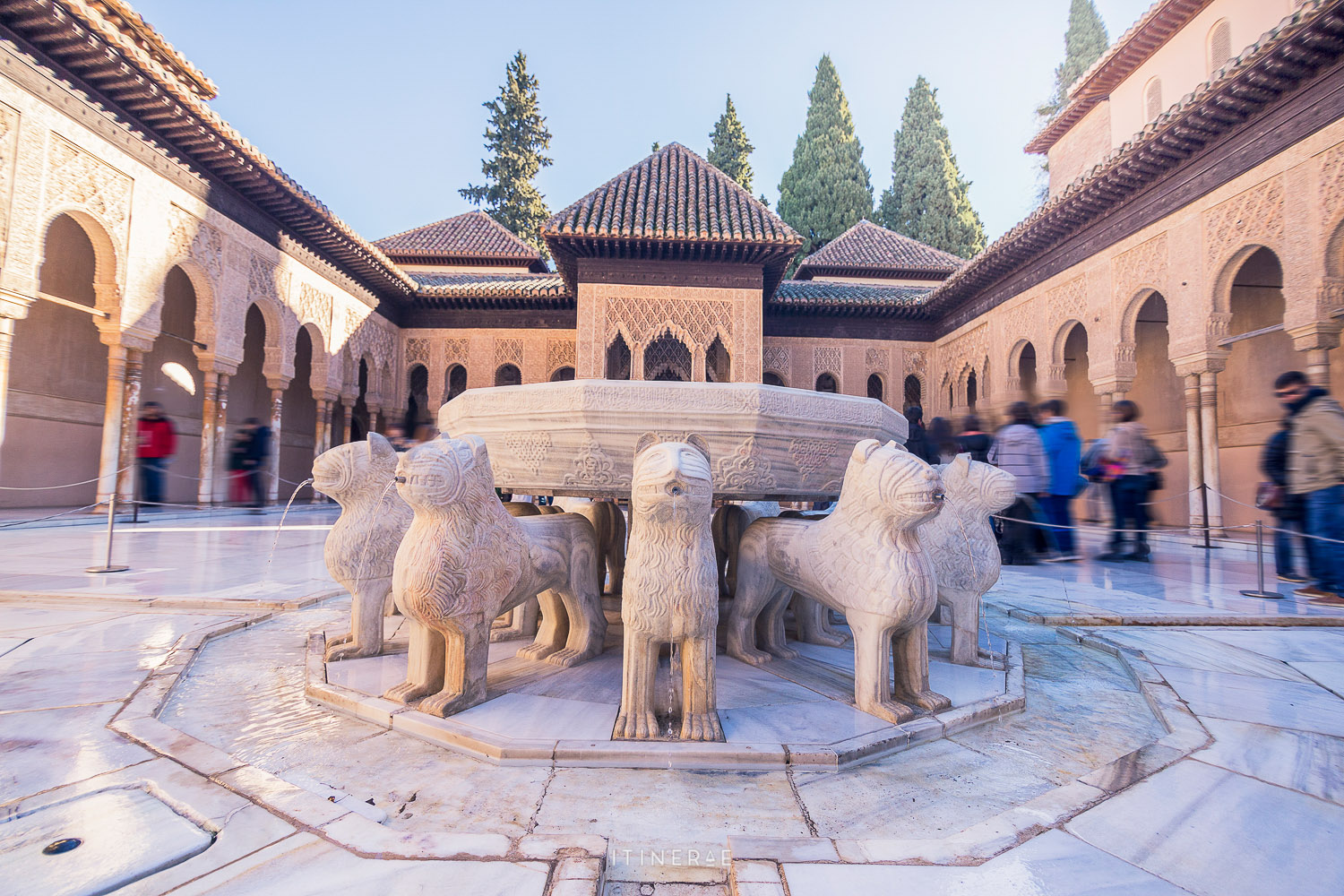 140127 - Alhambra (Granada) (8)